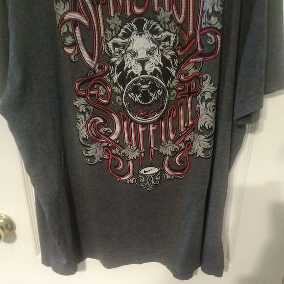 Nike T Shirt LeBron James Lion Special Edition Dri Fit Gray XL - Picture 5 of 10